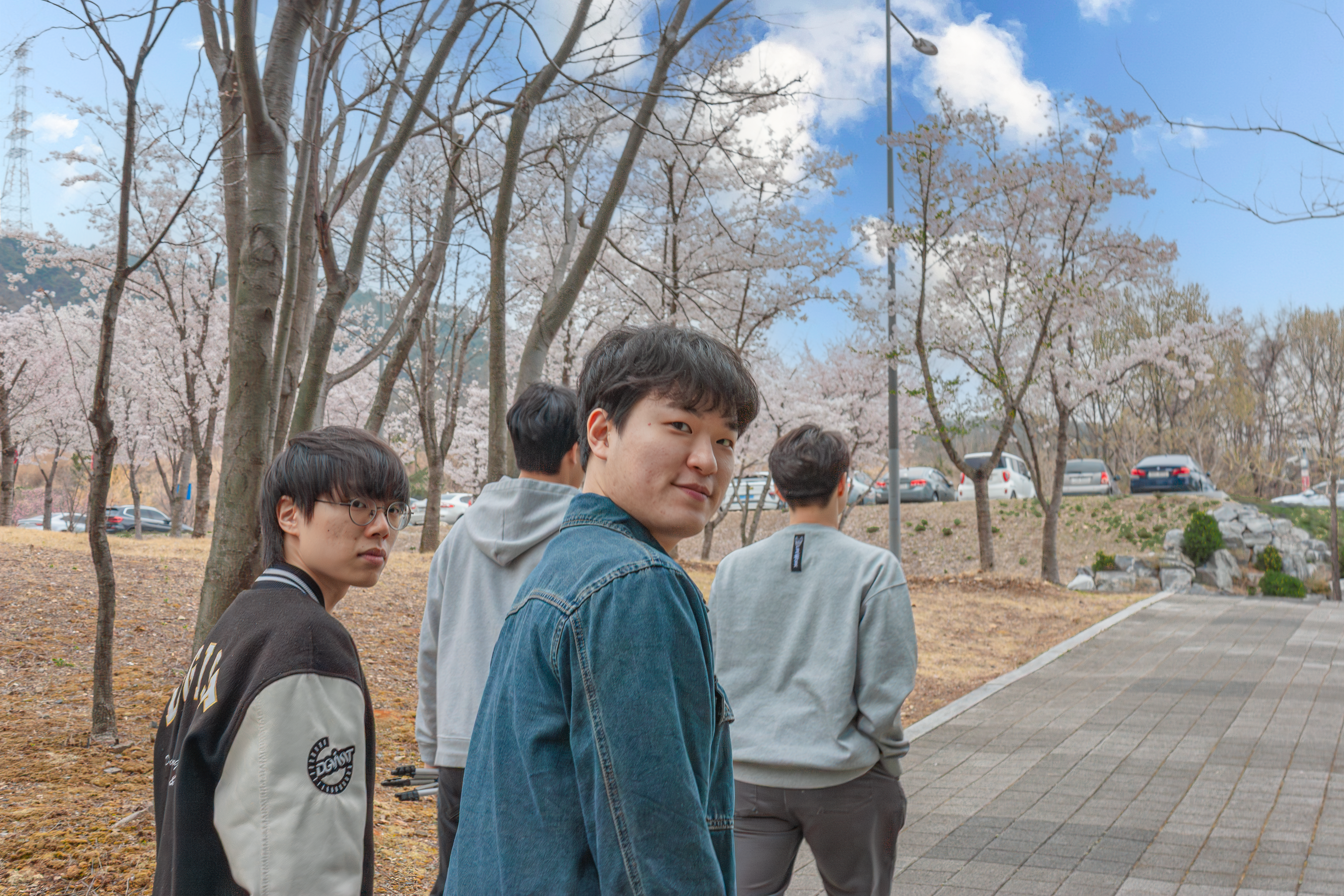 Cherry Blossom 🌸 (2026)