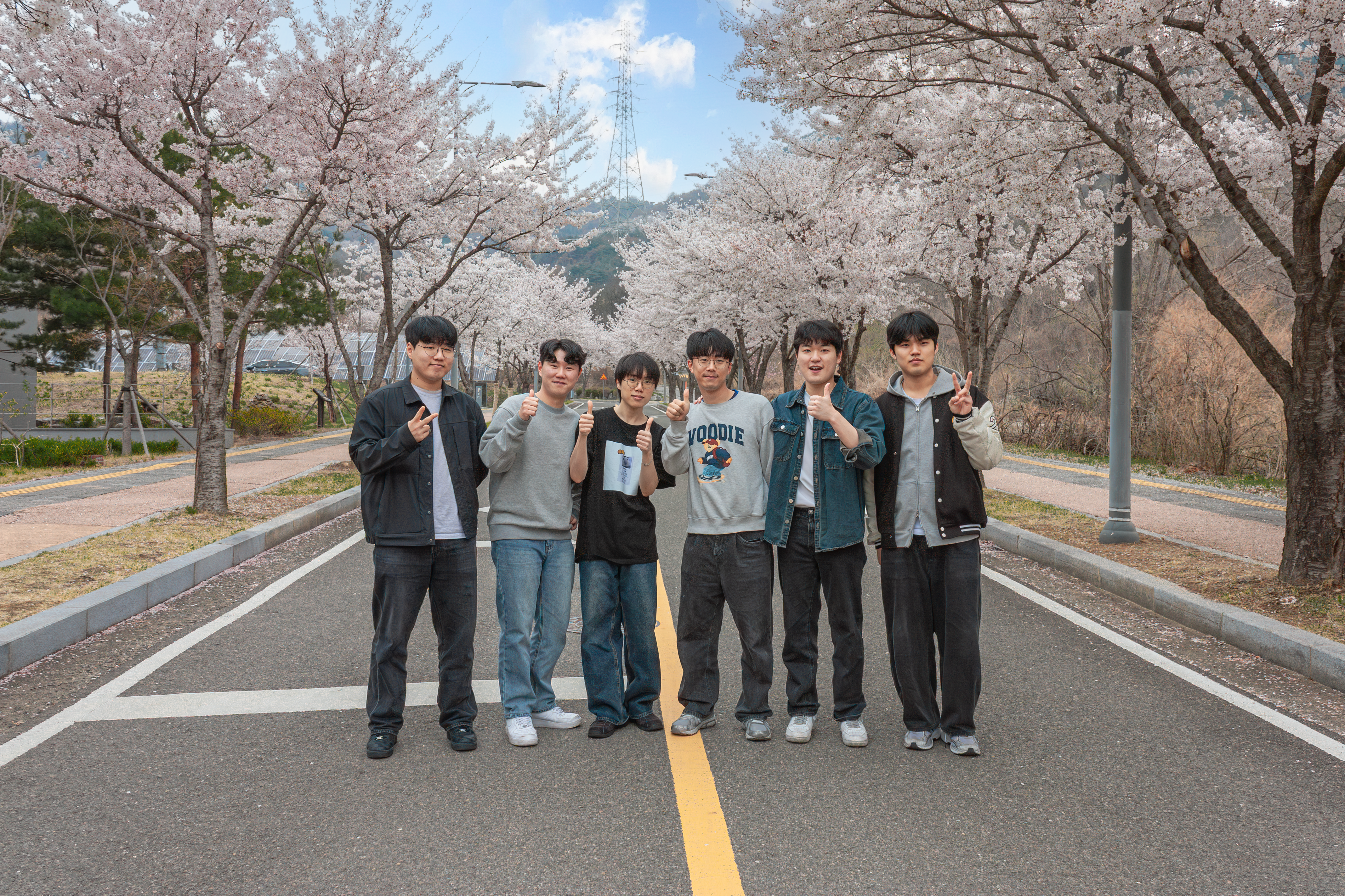 Cherry Blossom 🌸 (2026)