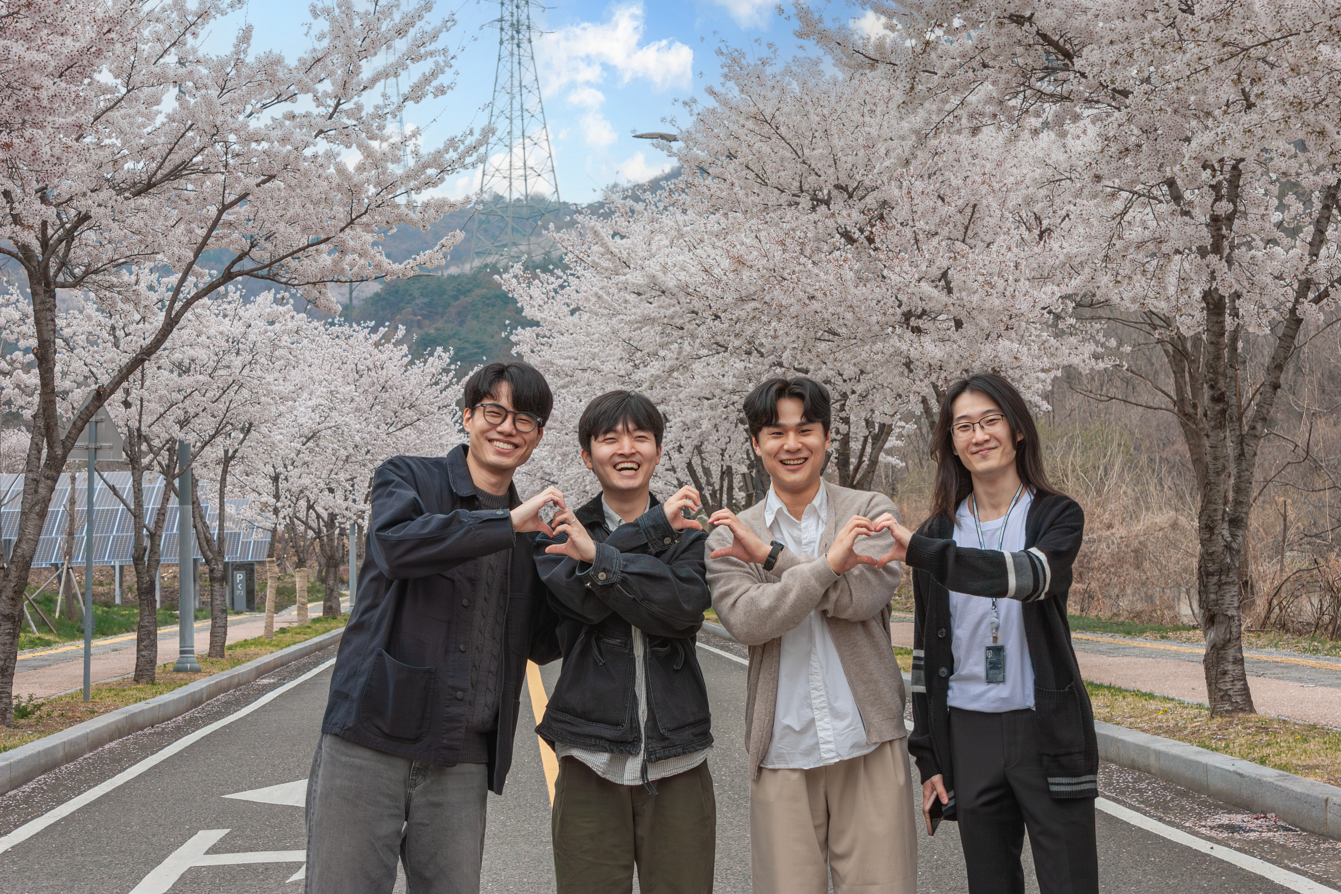 Cherry Blossom 🌸 (2026)