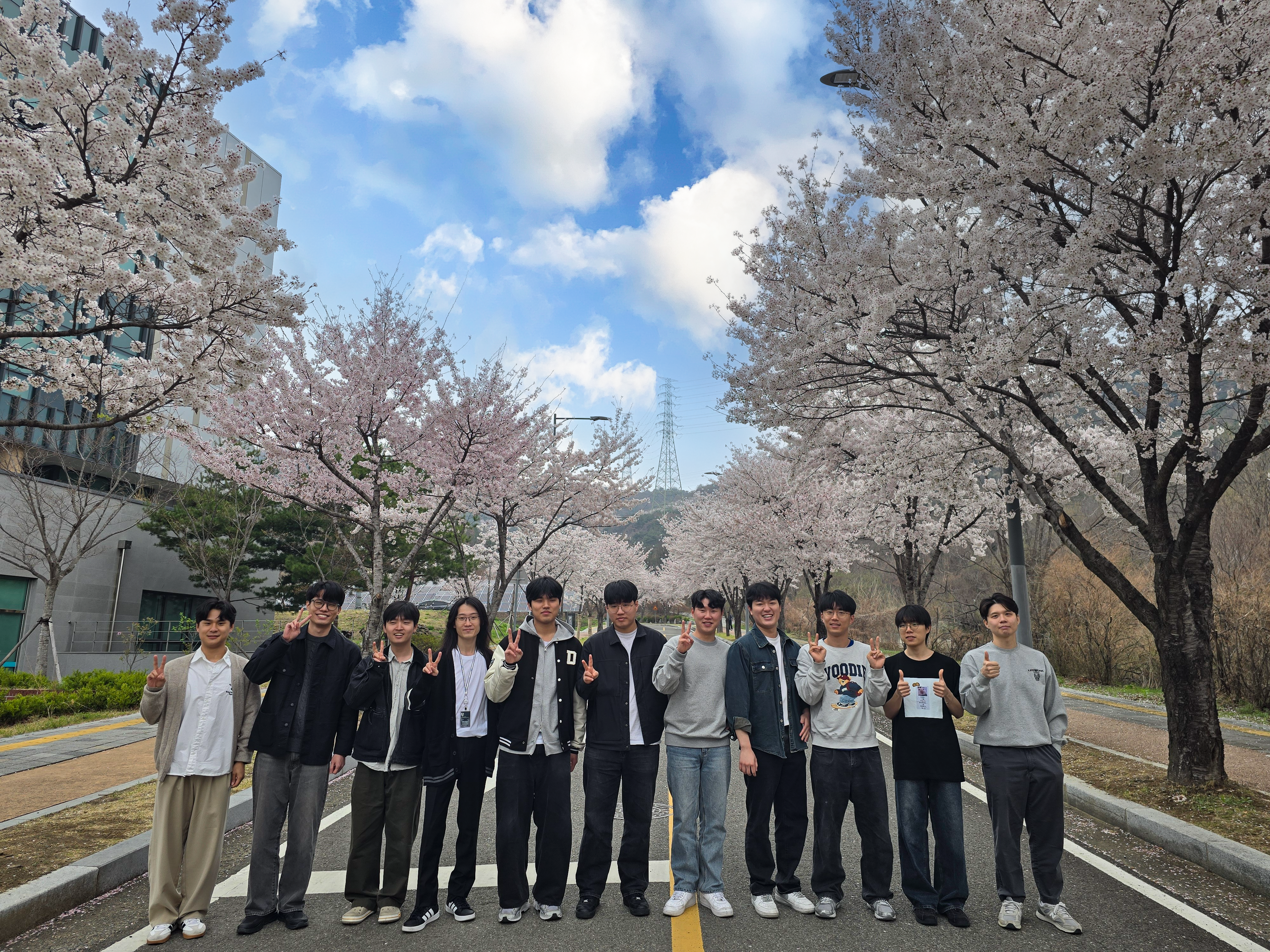 Cherry Blossom 🌸 (2026)